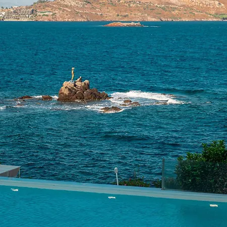 Palmalife Bodrum &