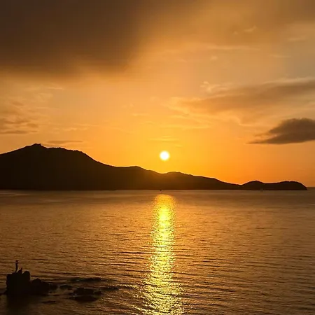 リゾート Palmalife Bodrum &