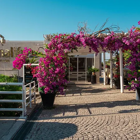 Palmalife Bodrum & Complex Yalıkavak