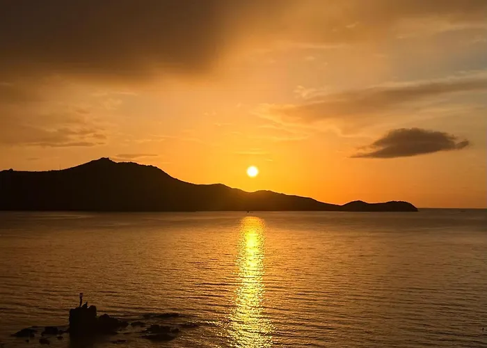 Feriested Palmalife Bodrum &